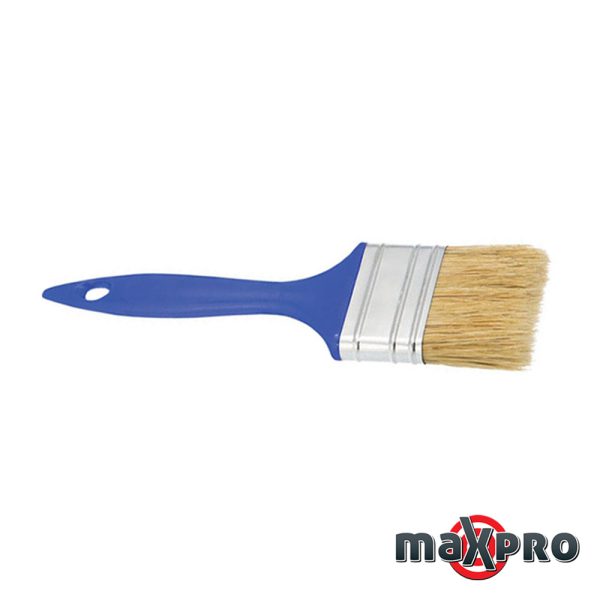 MAXPRO kist ekonomik 60